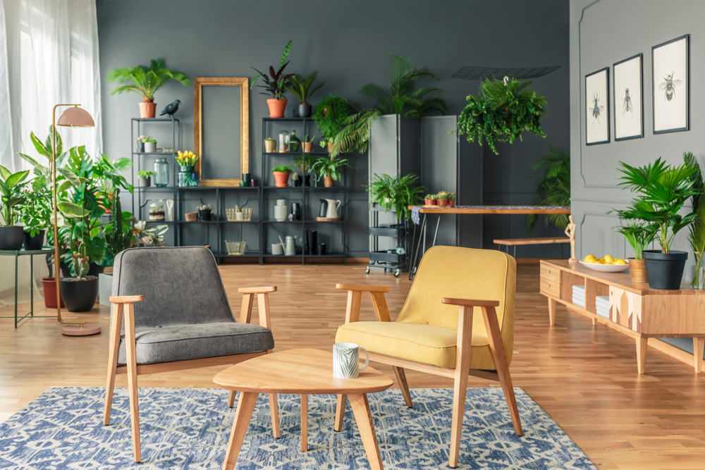 Indoor Greenery, Green home living